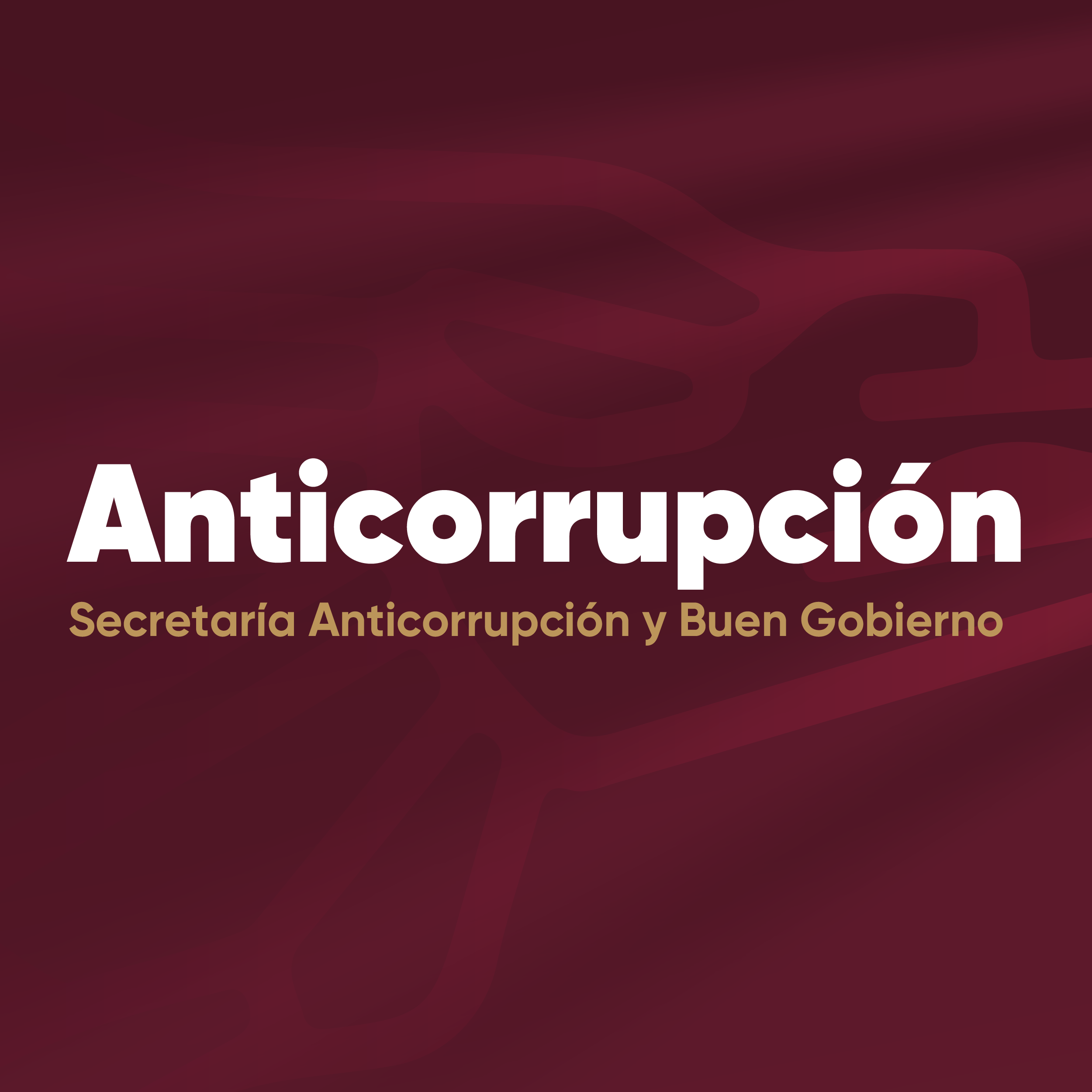 Comparecencia Anticorrupcion