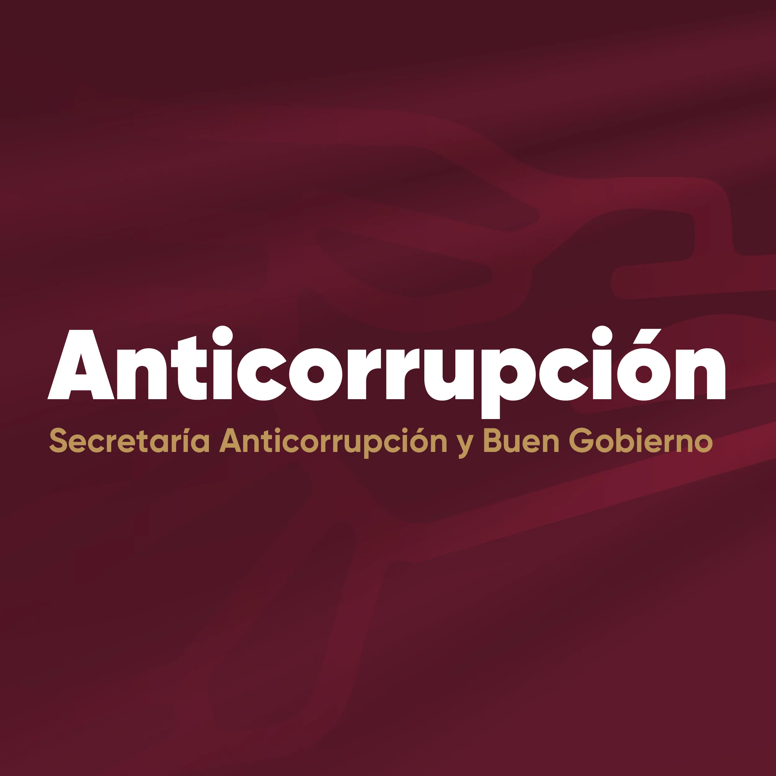 Comparecencia Anticorrupcion