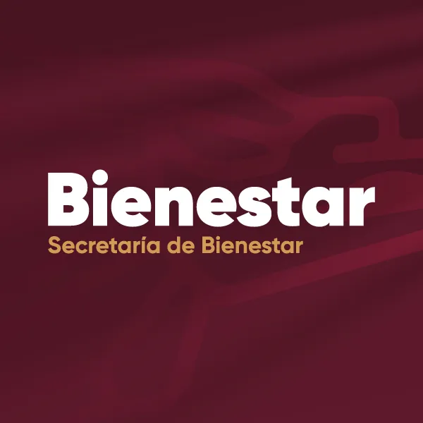 Comparecencia Bienestar
