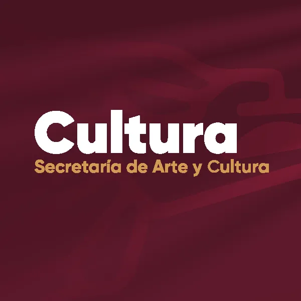 Comparecencia Cultura