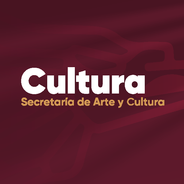 Comparecencia Cultura