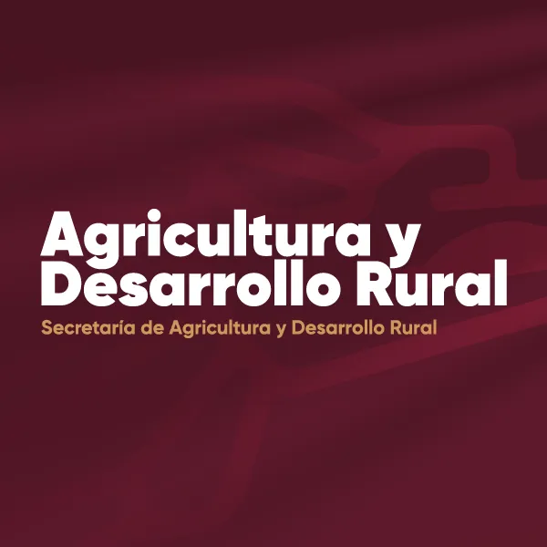Comparecencia Rural