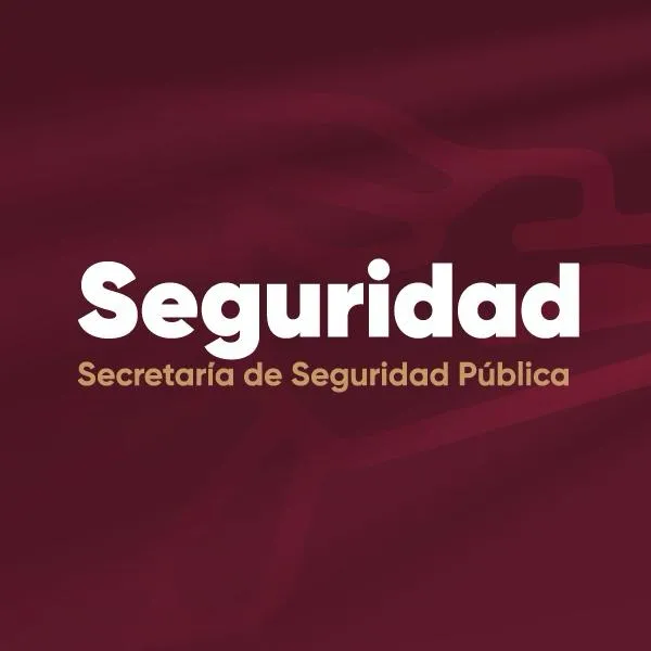 Comparecencia Seguridad