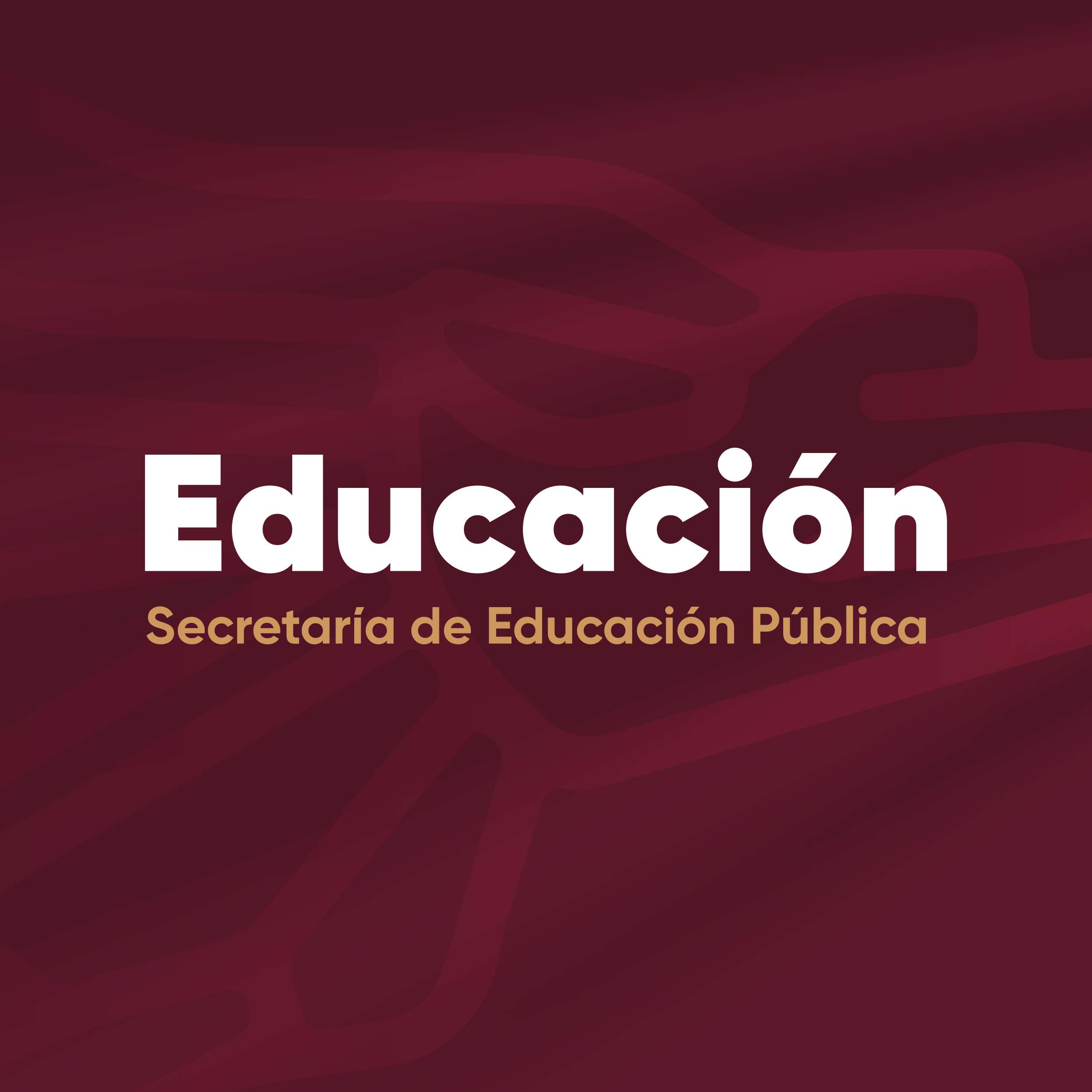 Comparecencia SEP