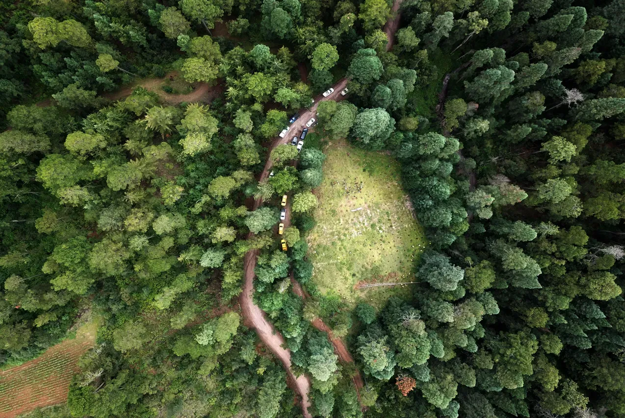 Jornada de reforestación Santa Rita Tlahuapan
